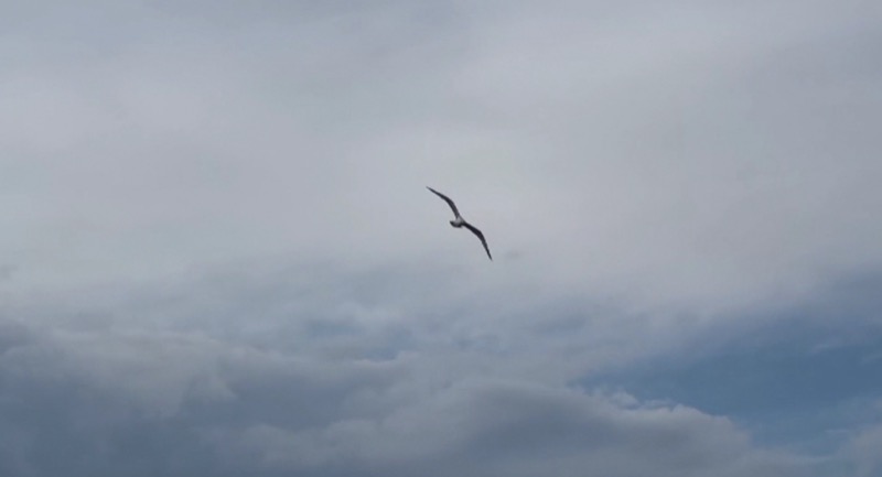 Un'immagine del video ispirato ai versi di Rilke