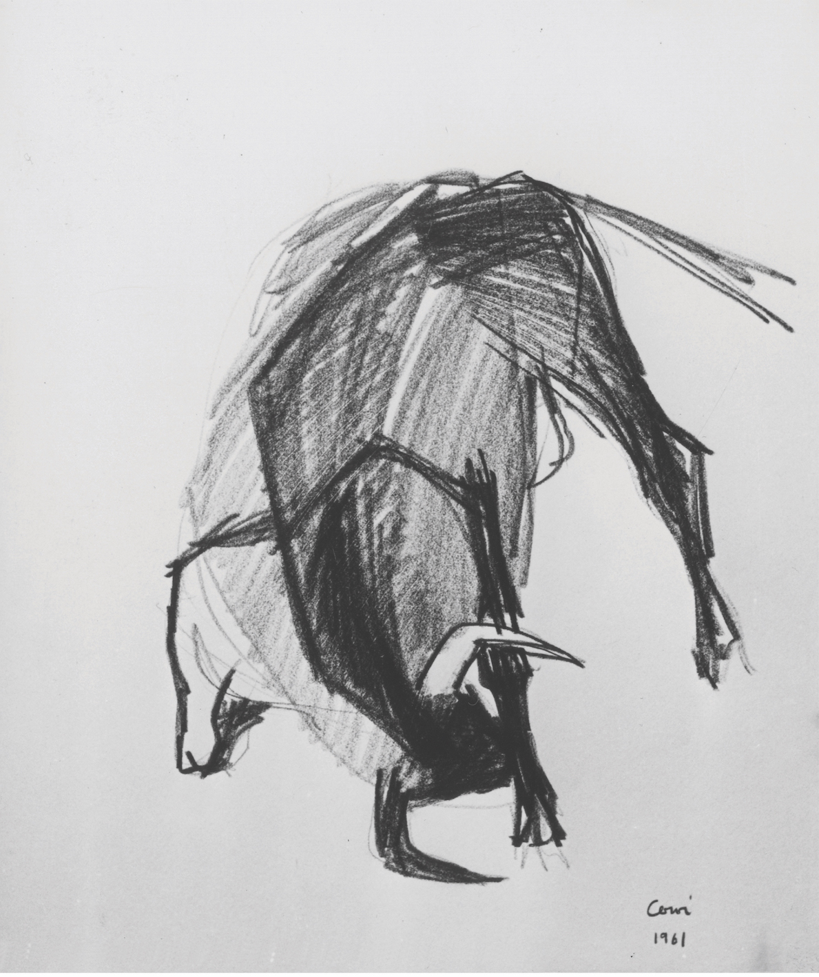 Toro aplomado, 1961 - grafite - cm 29x23 Toro aplomado, 1961 - grafite - cm 29x23