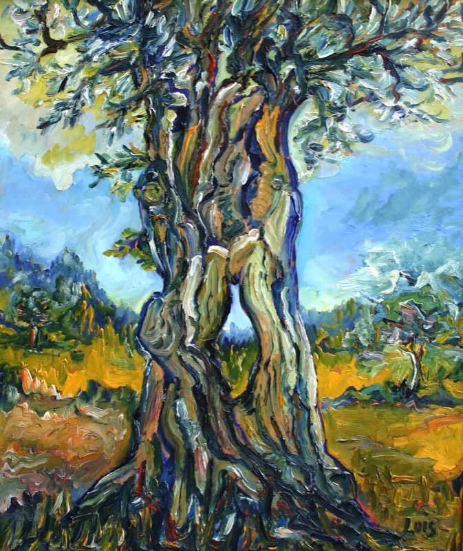 Anno 2005 - IL SECOLARE ULIVO - olio su compensato marino 90 x 78 Anno 2005 - IL SECOLARE ULIVO - olio su compensato marino 90 x 78