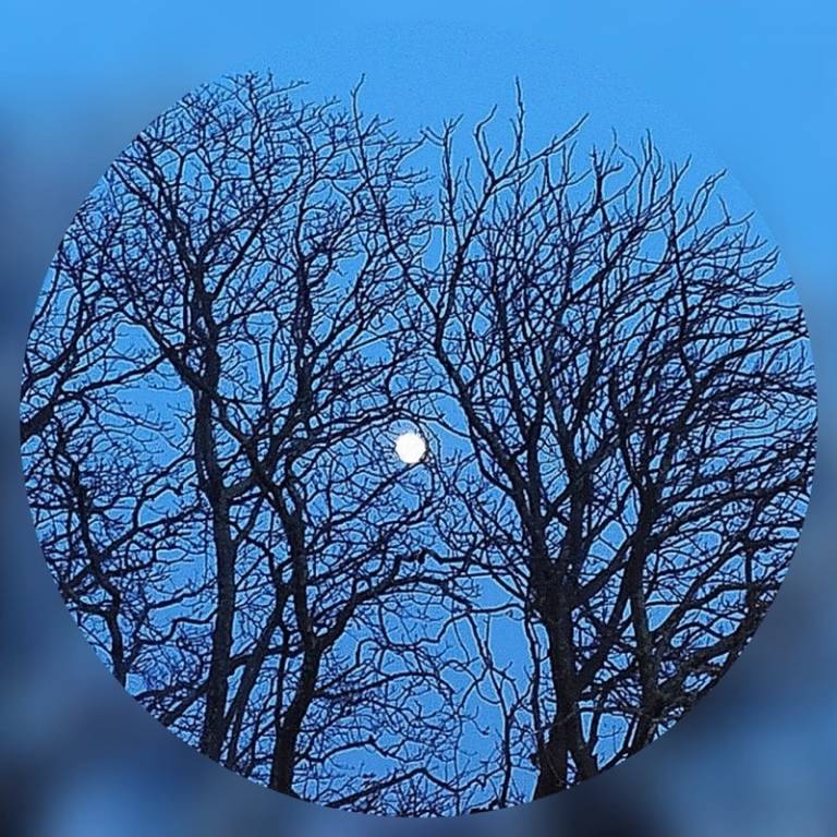 LUNE 25, 2023 - post produzione fotografica su dibond - cm. 20x20